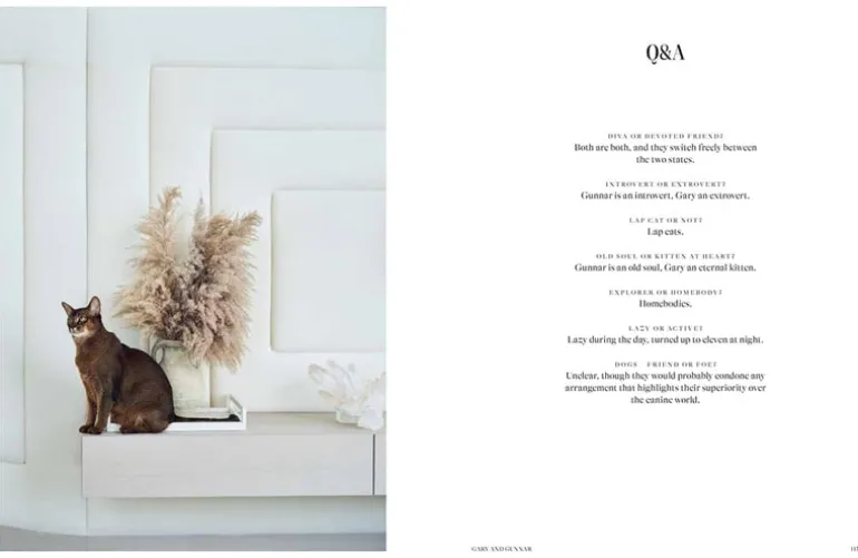 Book - House Cat