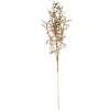 Brown Soft Grass Stem