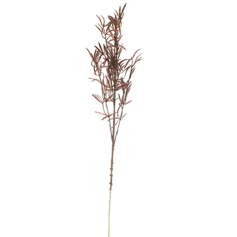 Burgundy Soft Grass Stem