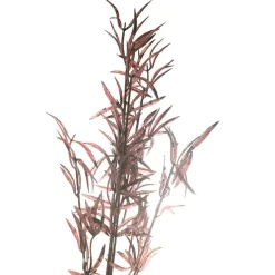Burgundy Soft Grass Stem