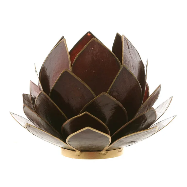 Cabbage Capiz Chocolate