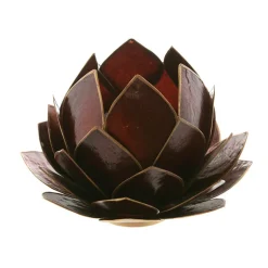 Cabbage Capiz Chocolate