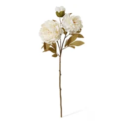 Cream Queen Peony Stem