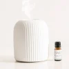 Duo Diffuser Ceramic Ribbed & Surrender Oil Blend
