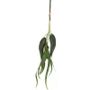 Eucalyptus Bundle