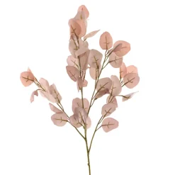 Eucalyptus Spray