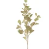Eucalyptus Spray Light Green