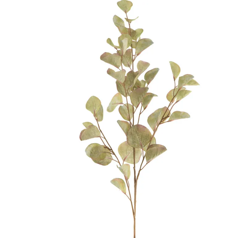 Eucalyptus Spray Light Green