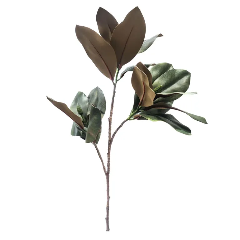 Magnolia Leaves Spray Green