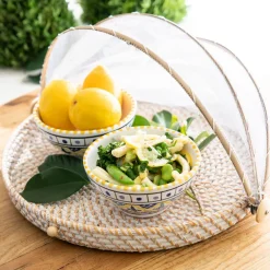 Mesh Food Cover Rattan Base Large