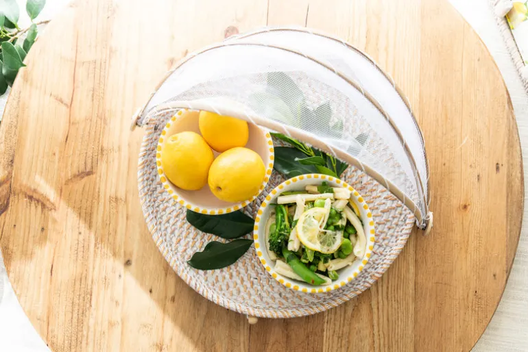 Mesh Food Cover Rattan Base Large