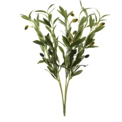 Olive Spray Stem