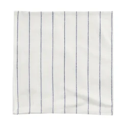 Pinstripe Napkin White & Blue