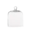 Small Glass Dome