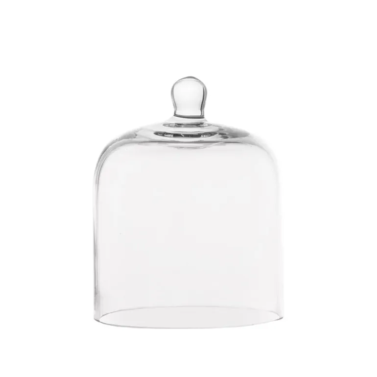 Small Glass Dome